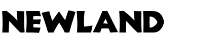 Newland Regular.ttf