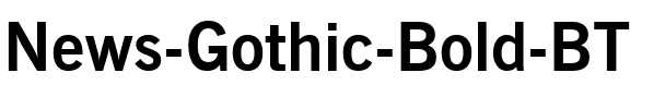 NewsGoth BT Bold.ttf