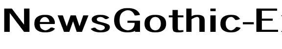 NewsGothic Ex Bold Bold.ttf