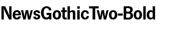 NewsGothicTwo Bold.ttf