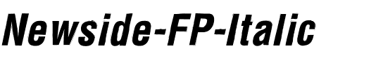 Newside FP Italic.ttf