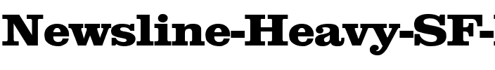 Newsline Heavy SF Bold.ttf