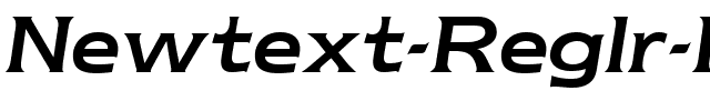 Newtext Reglr Italic.ttf