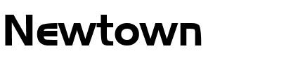 Newtown Regular.ttf