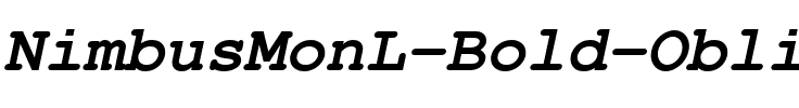 NimbusMonL Bold Oblique.ttf