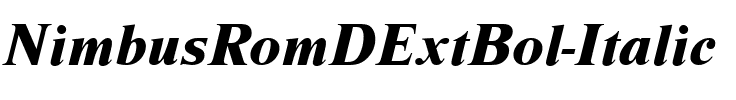 NimbusRomDExtBol Italic.ttf