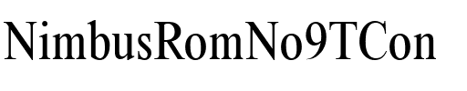 NimbusRomNo9TCon Regular.ttf