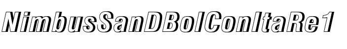 NimbusSanDBolConItaRe1 Regular.ttf