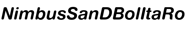 NimbusSanDBolItaRo1 Regular.ttf