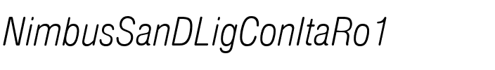 NimbusSanDLigConItaRo1 Regular.ttf