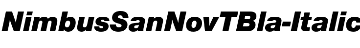 NimbusSanNovTBla Italic.ttf