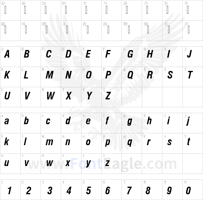 NimbusSanPCon-Bold-Italic