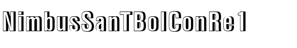 NimbusSanTBolConRe1 Regular.ttf