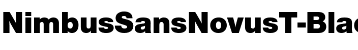 NimbusSansNovusT Black.ttf