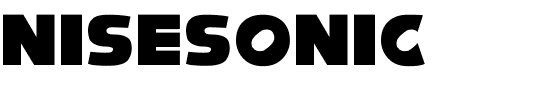 NiseSonic Regular.ttf
