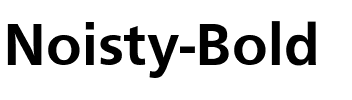 Noisty-Bold Regular.ttf