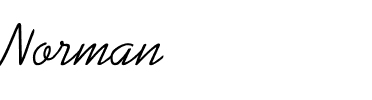 Norman Regular.ttf