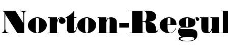 Norton Regular.ttf
