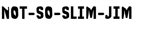 Not So Slim Jim Regular.ttf