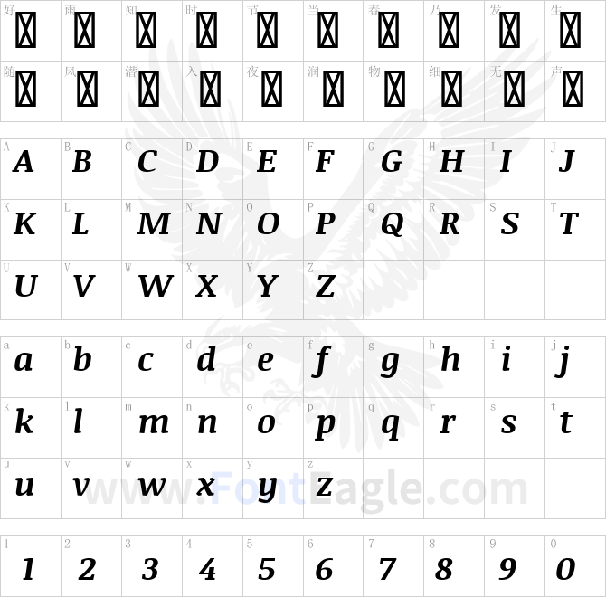 Noticia-Text-Bold-Italic