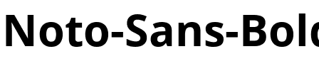 Noto Sans Bold.ttf