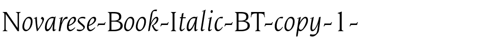 Novarese Bk BT Book Italic.ttf