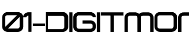 01 DigitMono Regular.ttf