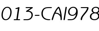 013-CAI978 013-CAI978.ttf
