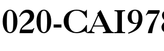 020-CAI978 Regular.ttf