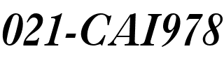 021-CAI978 Regular.ttf