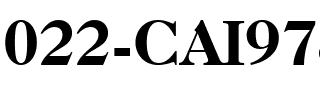 022-CAI978 Regular.ttf