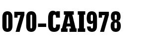 070-CAI978 Regular.ttf