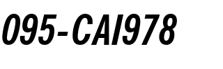 095-CAI978 095-CAI978.ttf