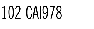 102-CAI978 Regular.ttf