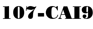 107-CAI978 Regular.ttf
