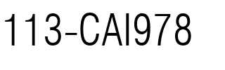 113-CAI978 Regular.ttf