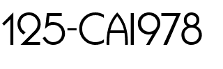 125-CAI978 Regular.ttf