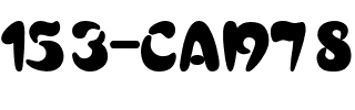 153-CAI978 Regular.ttf