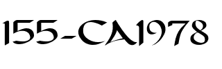 155-CAI978 Regular.ttf