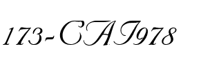 173-CAI978 Regular.ttf
