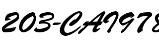 203-CAI978 Regular.ttf
