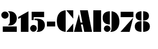 215-CAI978 Regular.ttf