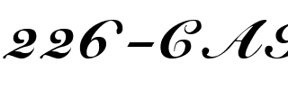 226-CAI978 Regular.ttf