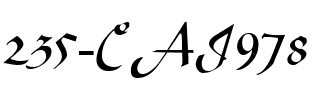 235-CAI978 Regular.ttf
