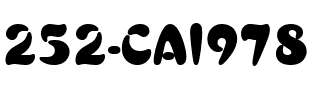 252-CAI978 Regular.ttf