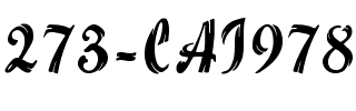 273-CAI978 Regular.ttf
