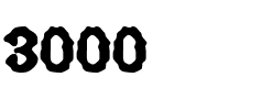 3000 Regular.ttf