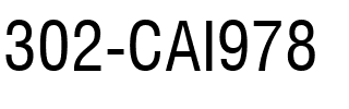 302-CAI978 Regular.ttf