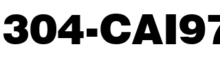 304-CAI978 Regular.ttf