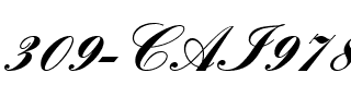 309-CAI978 309-CAI978.ttf